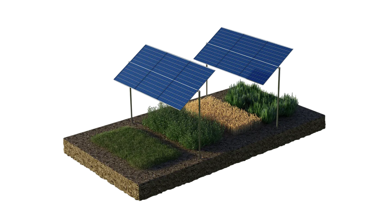 Tarım GES (Agri-PV)