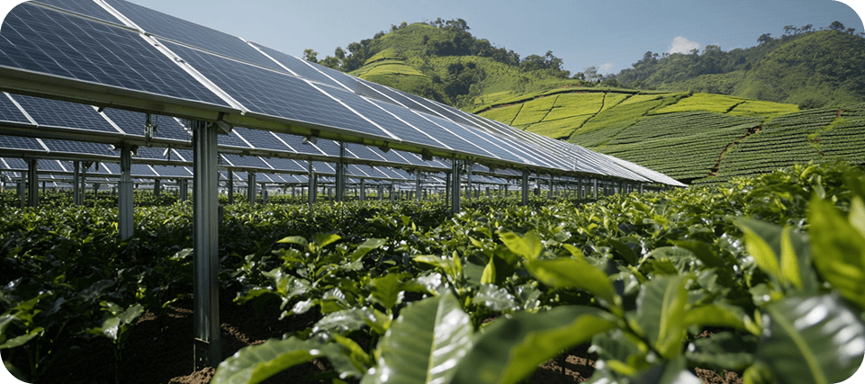Tarım GES (Agri-PV)